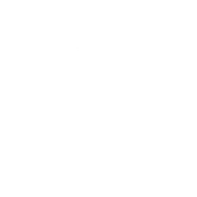 Lillies