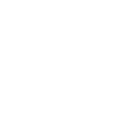 Momento