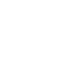 Nido